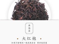 -茶庐(百花洲路店)