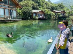 -杭州开元森泊度假乐园