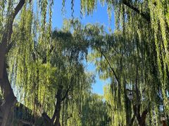 -张掖大佛寺景区