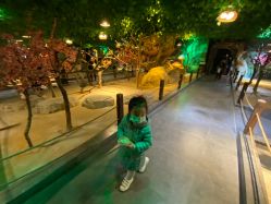 -酷嗒动物文化乐园(cutezoo西溪乐天城店)