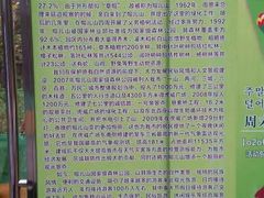 -帽儿山国家森林公园