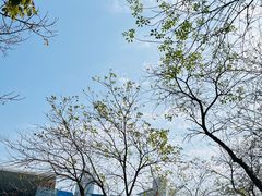 -壹海城ONE MALL