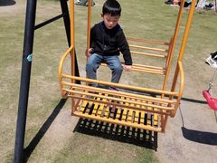 -菊园百果园