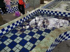 -广东茂名森林公园