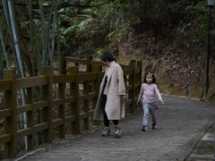 -广州市流溪河国家森林公园