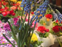 -朝来春花卉市场