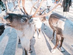 -北极村旅游风景区