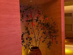-舒小悦·舒养SPA·古法推拿(光环中心店)