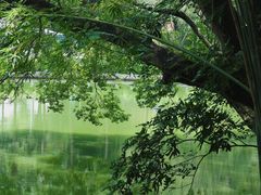 -人民公园(罗湖区)