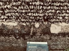 -小洲村