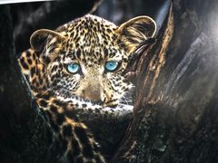 -罗红摄影艺术馆