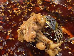 -味之绝热血美蛙鱼火锅(中坝店)