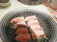 -猫爪爪原切自助烤肉(观音桥阳光世纪店)