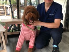 -爱侣宠医·鹦鹉专科·小型哺乳类·异宠专科(灵石路店)