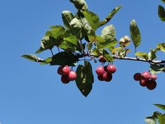 -永定河休闲森林公园