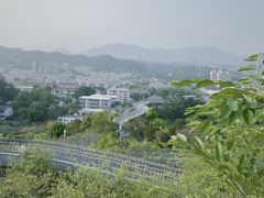 -福道