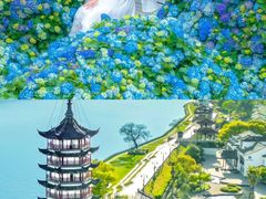 -金庸书院