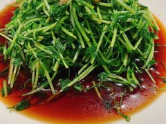 热炝豌豆苗-芳芳私房菜·精做淮扬菜(承德路店)