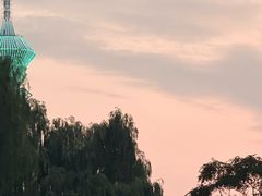 -裕华世纪公园
