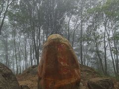 -广州市帽峰山景区