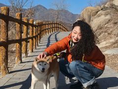 -白水寺森林公园