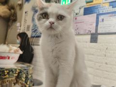 -平行世界·猫咖(首经贸店)