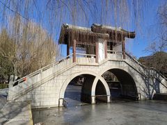 -团结湖公园