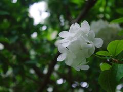 -黄兴公园