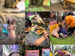 -正佳雨林生态植物园