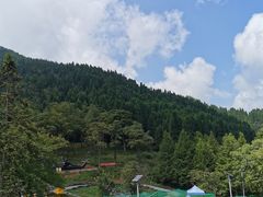 -武陵山森林公园