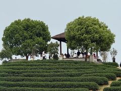 -午潮山国家森林公园