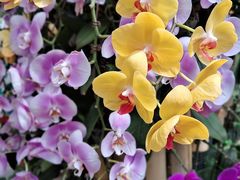 -北京植物园-展览温室