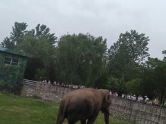 -西安秦岭野生动物园