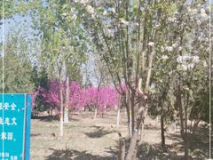 -绿堤公园
