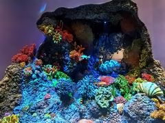 -中国湿地博物馆