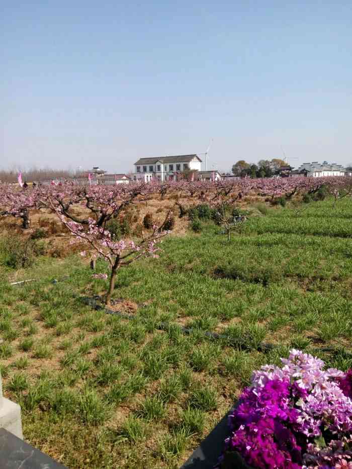 滨海世外桃源-"还没有开业,不过可以走后门进入,."-大众点评移动版