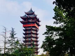 -塔子山公园