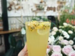 -北马山庄植趣咖啡