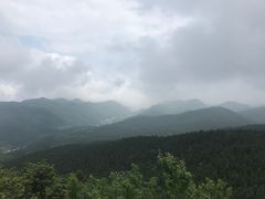 -武陵山森林公园