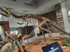-自贡恐龙博物馆
