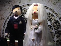 -济州岛泰迪熊博物馆