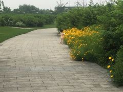 -九里河湿地公园