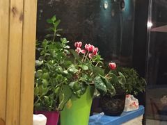 -乌镇那一年小院主题餐厅(甘泉西路店)