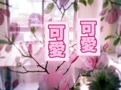 -南京夫子庙国际青年旅舍(平江府路店)