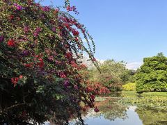 -中国科学院西双版纳热带植物园