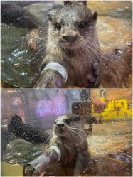 -Zoolung Zoolung动物主题公园(海信广场店)