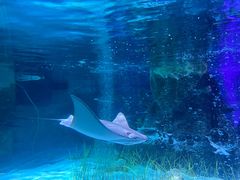 -沈阳海洋探索中心