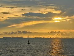 -宝安西湾红树林湿地公园