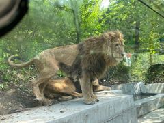 -栾川竹海野生动物园