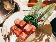 -汤城·料青山
